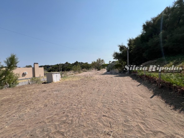 741B2387-D65D-44F5-AC19-38FDA5569FBD