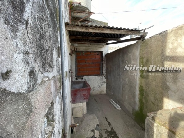 WhatsApp Image 2026-02-18 at 4.45.37 PM (3)