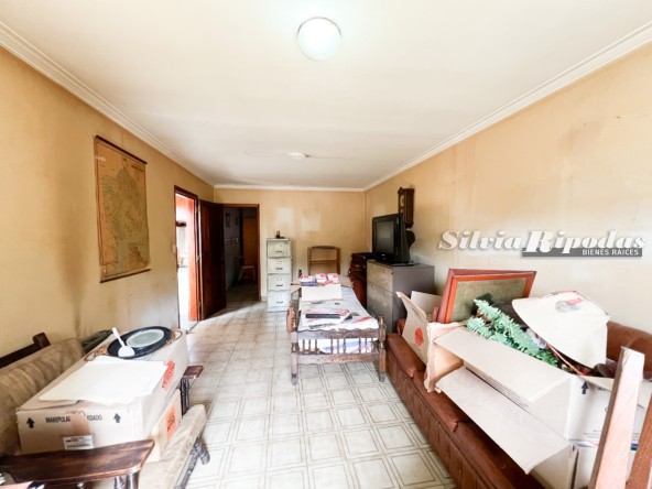 560BB4E9-3211-43B3-AD3B-72DE88DBEFC8 2