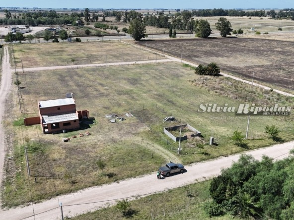 DJI_20250509061153_0029_D