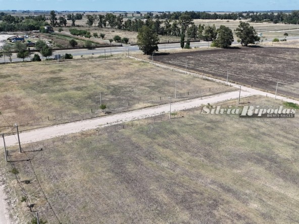 DJI_20250509061318_0031_D