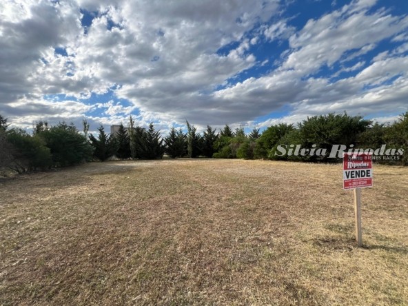 WhatsApp Image 2026-02-11 at 4.56.59 PM (1)