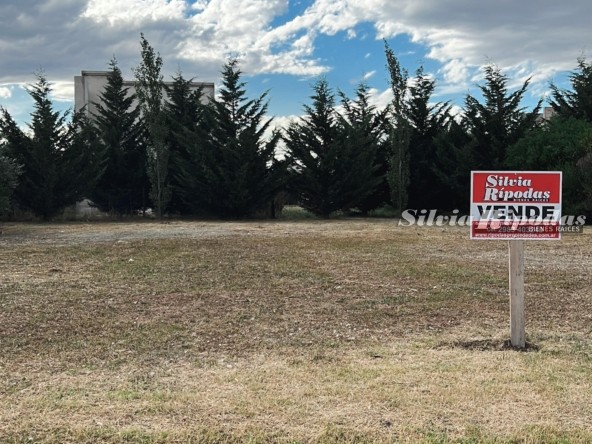 WhatsApp Image 2026-02-11 at 4.56.59 PM