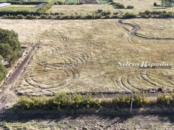 WhatsApp Image 2026-03-05 at 5.44.15 PM