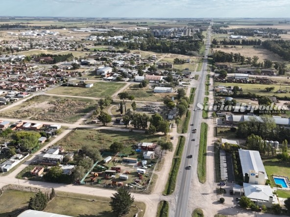 dji_fly_20260310_172238_0006_1773176259983_photo